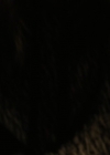 Charmed-Online-dot-nl_Charmed2x01-SafeSpace01903.jpg