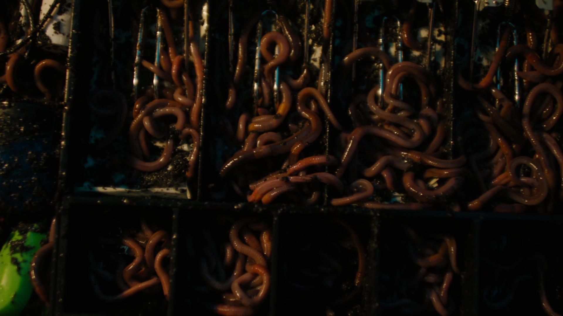 Charmed-Online-dot-nl_Charmed2x03BeCarefulWhatYouWitchFor02328.jpg