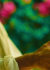Charmed-Online-dot-nl_Charmed2x03BeCarefulWhatYouWitchFor01390.jpg
