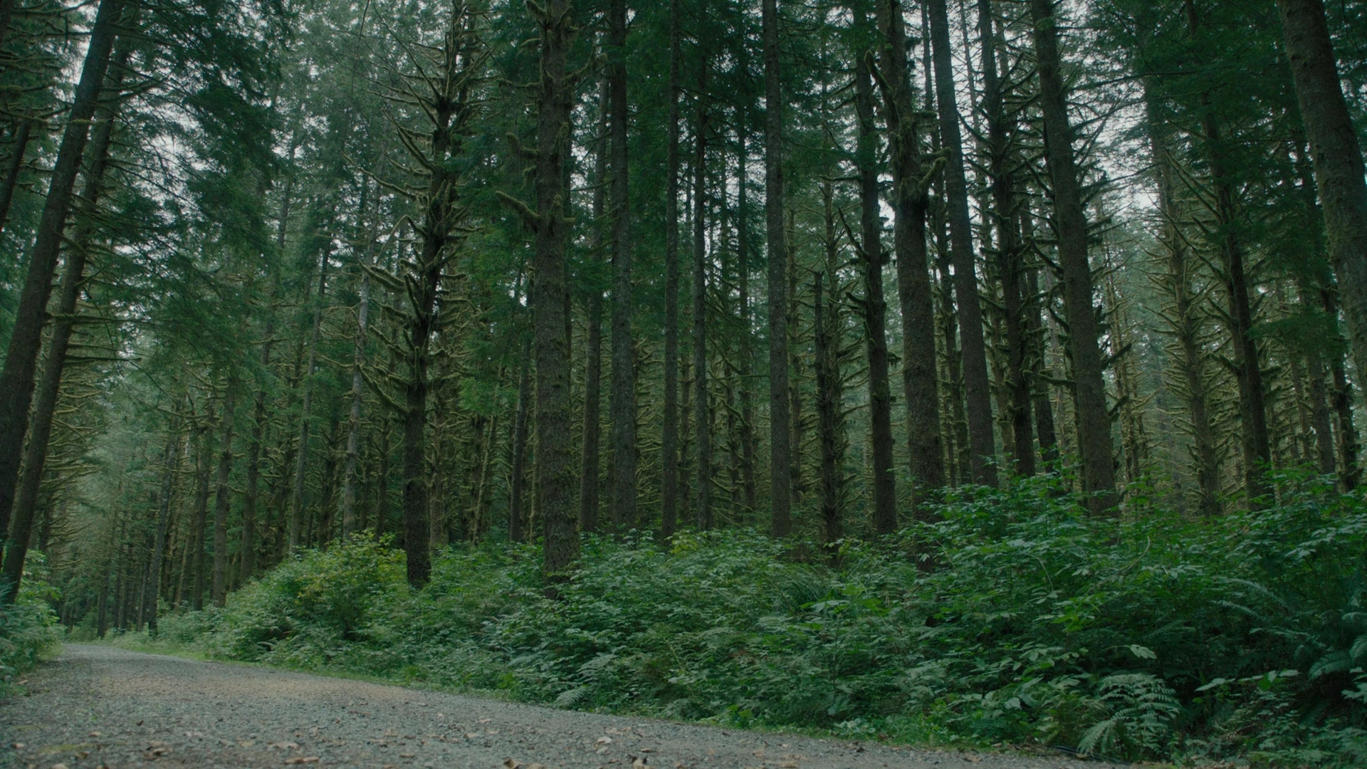 Charmed-Online-dot-nl_Charmed2x04DeconstructingHarry00540.jpg Charmed-Online-dot-nl_Charmed2x04DeconstructingHarry00540.jpg