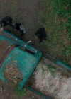 Charmed-Online-dot-nl_Charmed2x04DeconstructingHarry00665.jpg