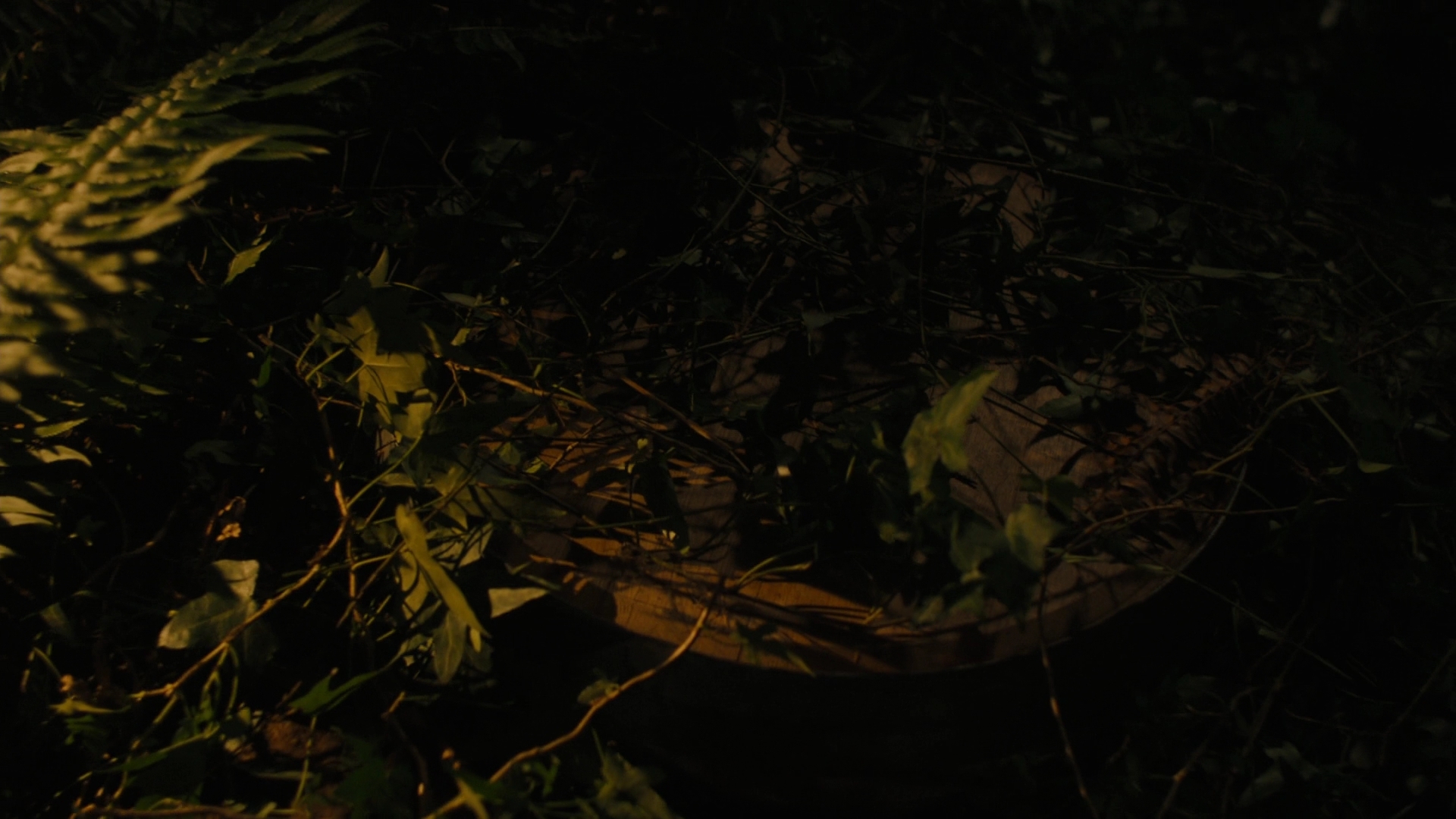 Charmed-Online-dot-nl_2x05TheTruthAboutCatsAndDogs00094.jpg