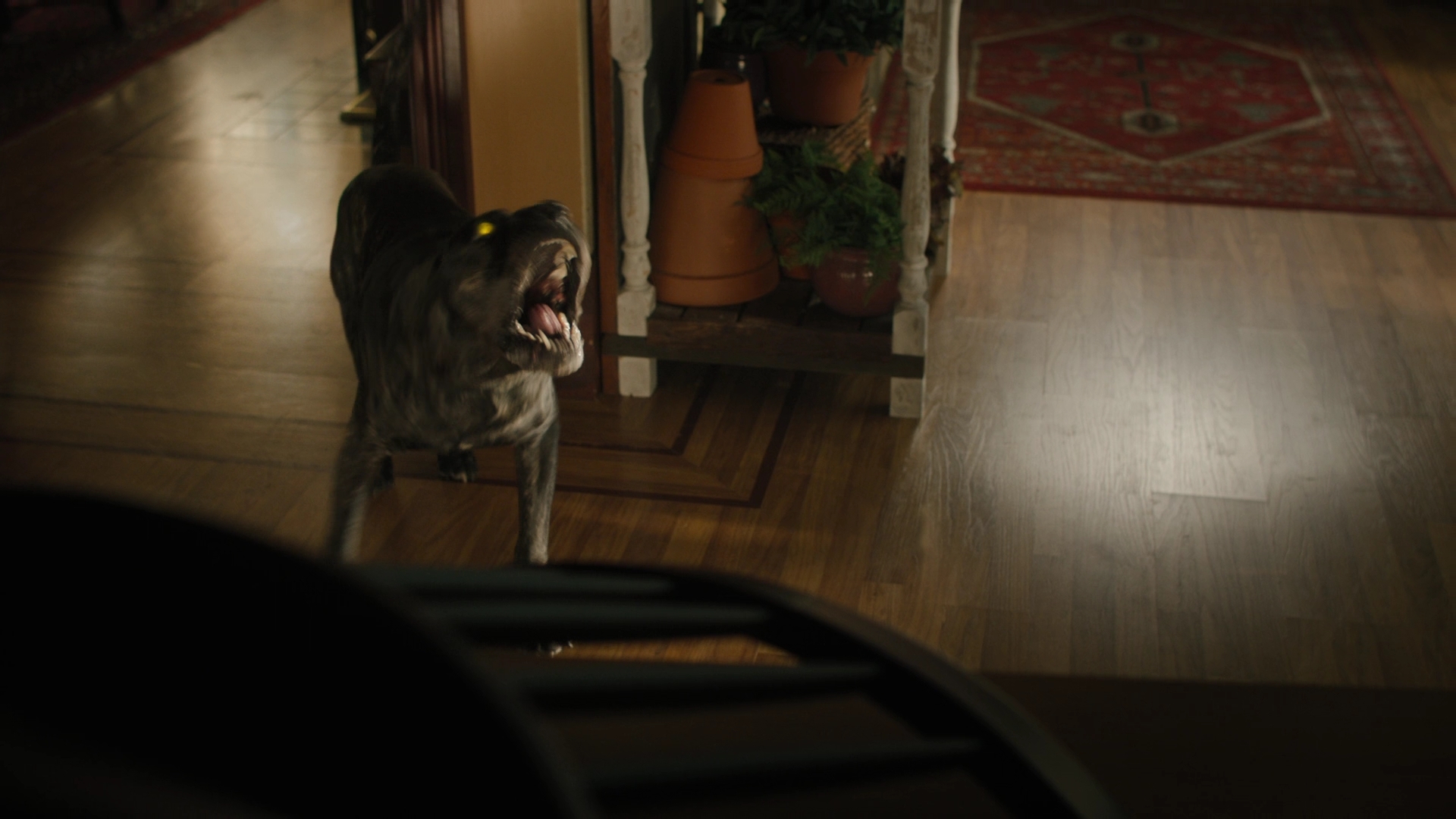 Charmed-Online-dot-nl_2x05TheTruthAboutCatsAndDogs00701.jpg