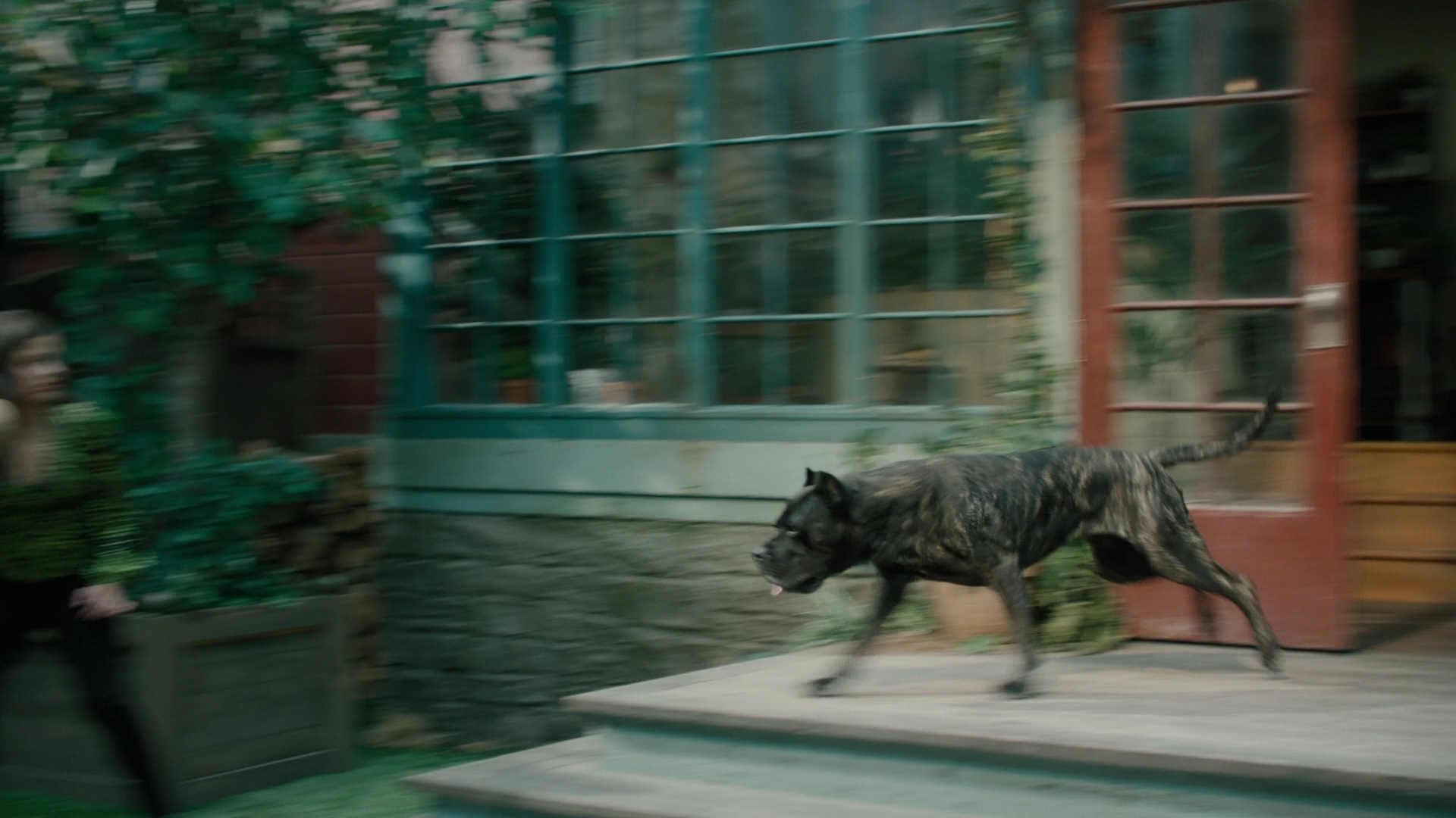 Charmed-Online-dot-nl_2x05TheTruthAboutCatsAndDogs01112.jpg