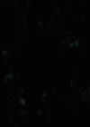 Charmed-Online-dot-nl_2x05TheTruthAboutCatsAndDogs00012.jpg