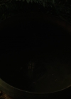 Charmed-Online-dot-nl_2x05TheTruthAboutCatsAndDogs00109.jpg