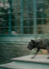 Bestandsnaam=Charmed-Online-dot-nl_2x05TheTruthAboutCatsAndDogs01112.jpg
Bestandsgrootte=966KiB
Afmetingen = 1920x1080
Datum toegevoegd = nov 18, 2019 Charmed-Online-dot-nl_2x05TheTruthAboutCatsAndDogs01112.jpg