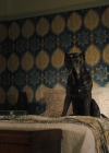 Bestandsnaam=Charmed-Online-dot-nl_2x05TheTruthAboutCatsAndDogs02148.jpg
Bestandsgrootte=1218KiB
Afmetingen = 1920x1080
Datum toegevoegd = nov 18, 2019 Charmed-Online-dot-nl_2x05TheTruthAboutCatsAndDogs02148.jpg