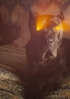 Bestandsnaam=Charmed-Online-dot-nl_2x05TheTruthAboutCatsAndDogs02162.jpg
Bestandsgrootte=1070KiB
Afmetingen = 1920x1080
Datum toegevoegd = nov 18, 2019 Charmed-Online-dot-nl_2x05TheTruthAboutCatsAndDogs02162.jpg