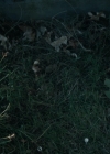 Bestandsnaam=Charmed-Online-dot-nl_Charmed2x06WhenSparksFly02429.jpg
Bestandsgrootte=503KiB
Afmetingen = 1280x720
Datum toegevoegd = nov 19, 2019 Charmed-Online-dot-nl_Charmed2x06WhenSparksFly02429.jpg