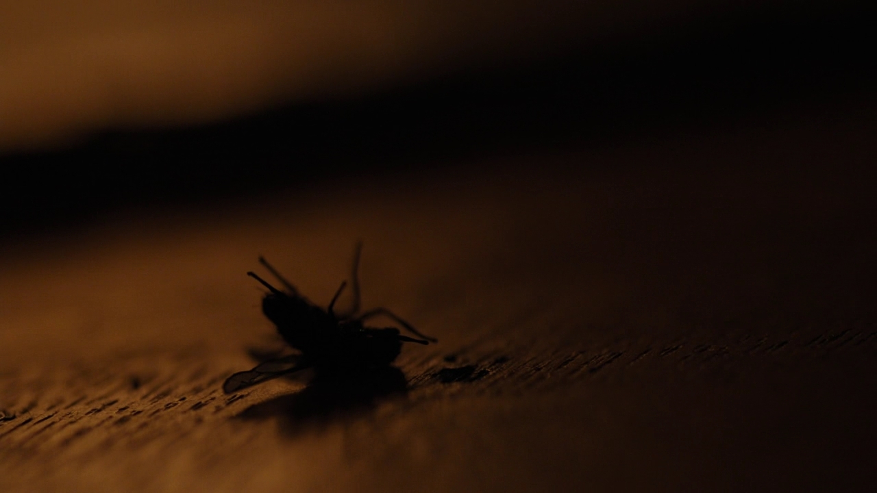 Charmed-Online-dot-nl_Charmed2x08TheRulesOfEngagement1069.jpg Charmed-Online-dot-nl_Charmed2x08TheRulesOfEngagement1069.jpg