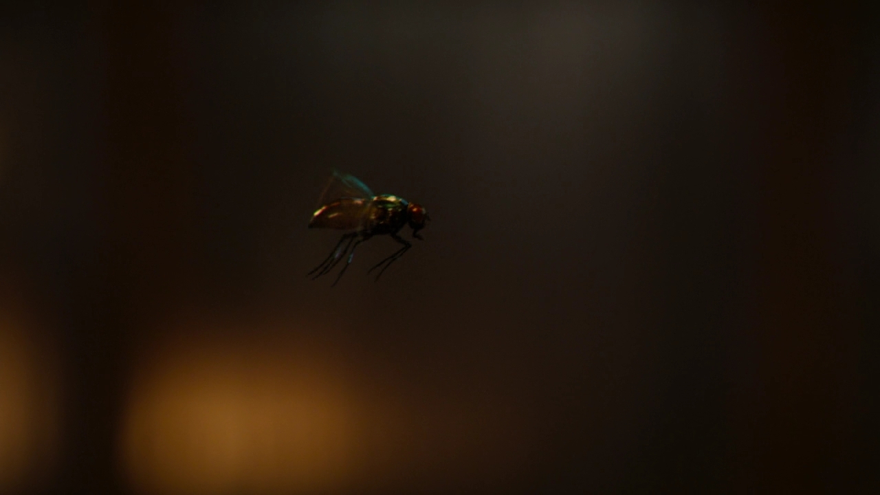 Charmed-Online-dot-nl_Charmed2x08TheRulesOfEngagement1137.jpg Charmed-Online-dot-nl_Charmed2x08TheRulesOfEngagement1137.jpg