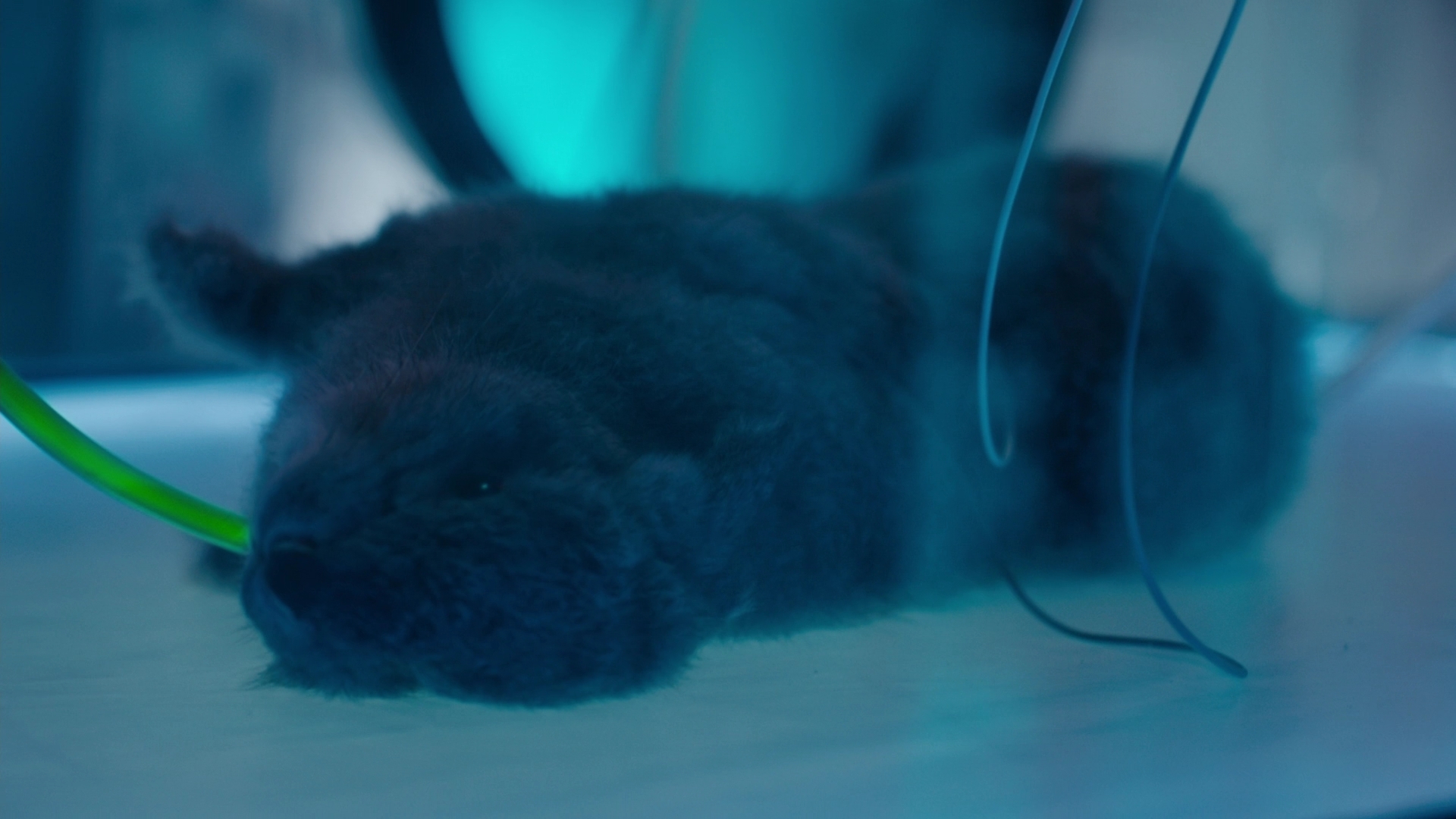 Charmed-Online-dot-nl_Charmed2x10CurseWords2473.jpg Charmed-Online-dot-nl_Charmed2x10CurseWords2473.jpg