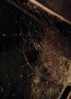 Charmed-Online-dot-nl_Charmed2x11DanceLikeNoOneIsWitching0006.jpg