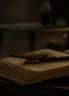 Bestandsnaam=Charmed-Online-dot-nl_Charmed2x12NeedsToKnow2307.jpg
Bestandsgrootte=888KiB
Afmetingen = 1920x1080
Datum toegevoegd = feb 18, 2020 Charmed-Online-dot-nl_Charmed2x12NeedsToKnow2307.jpg