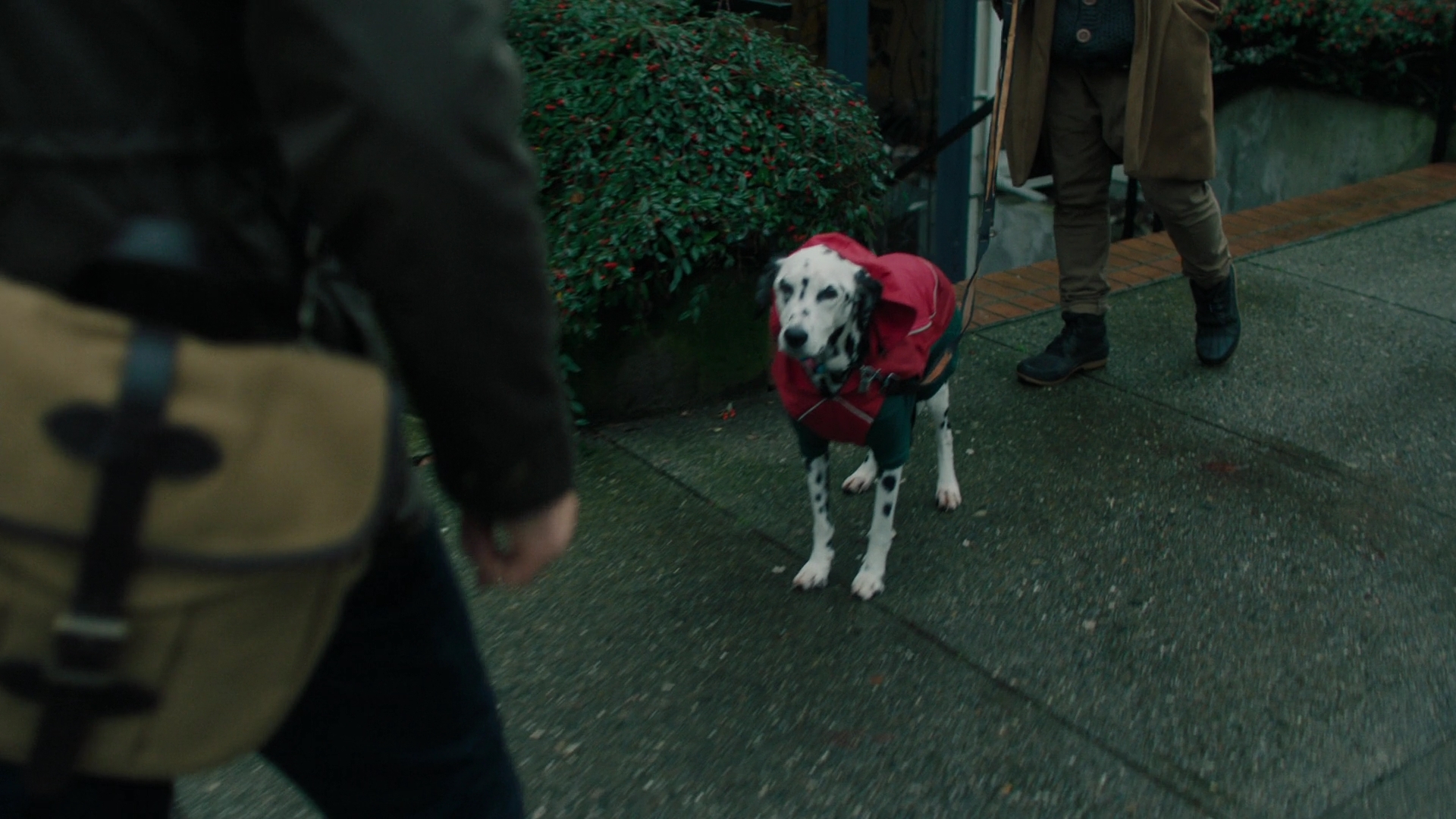 Charmed-Online-dot-nl-Charmed2x13BreakingTheCycle0664.jpg