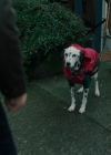 Bestandsnaam=Charmed-Online-dot-nl-Charmed2x13BreakingTheCycle0664.jpg
Bestandsgrootte=1070KiB
Afmetingen = 1920x1080
Datum toegevoegd = feb 24, 2020 Charmed-Online-dot-nl-Charmed2x13BreakingTheCycle0664.jpg