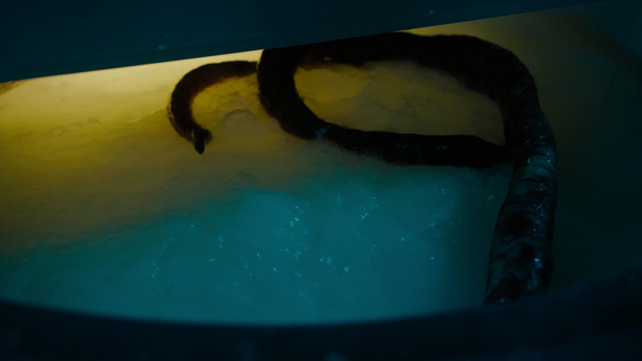 Charmed-Online-dot-nl-Charmed-2x14SuddenDeath0774.jpg