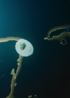 Charmed-Online-dot-nl_Charmed2x18DontLookBackInAnger0281.jpg