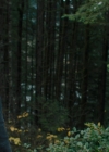 Charmed-Online-dot-nl_Charmed2x02SomeonesGoingToDie0830.jpg