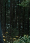 Charmed-Online-dot-nl_Charmed2x02SomeonesGoingToDie0832.jpg