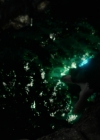 Charmed-Online-dot-nl_Charmed2x02SomeonesGoingToDie1810.jpg