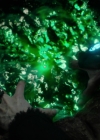 Charmed-Online-dot-nl_Charmed2x02SomeonesGoingToDie1815.jpg