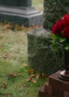 Charmed-Online-dot-nl_Charmed3x03Triage0915.jpg