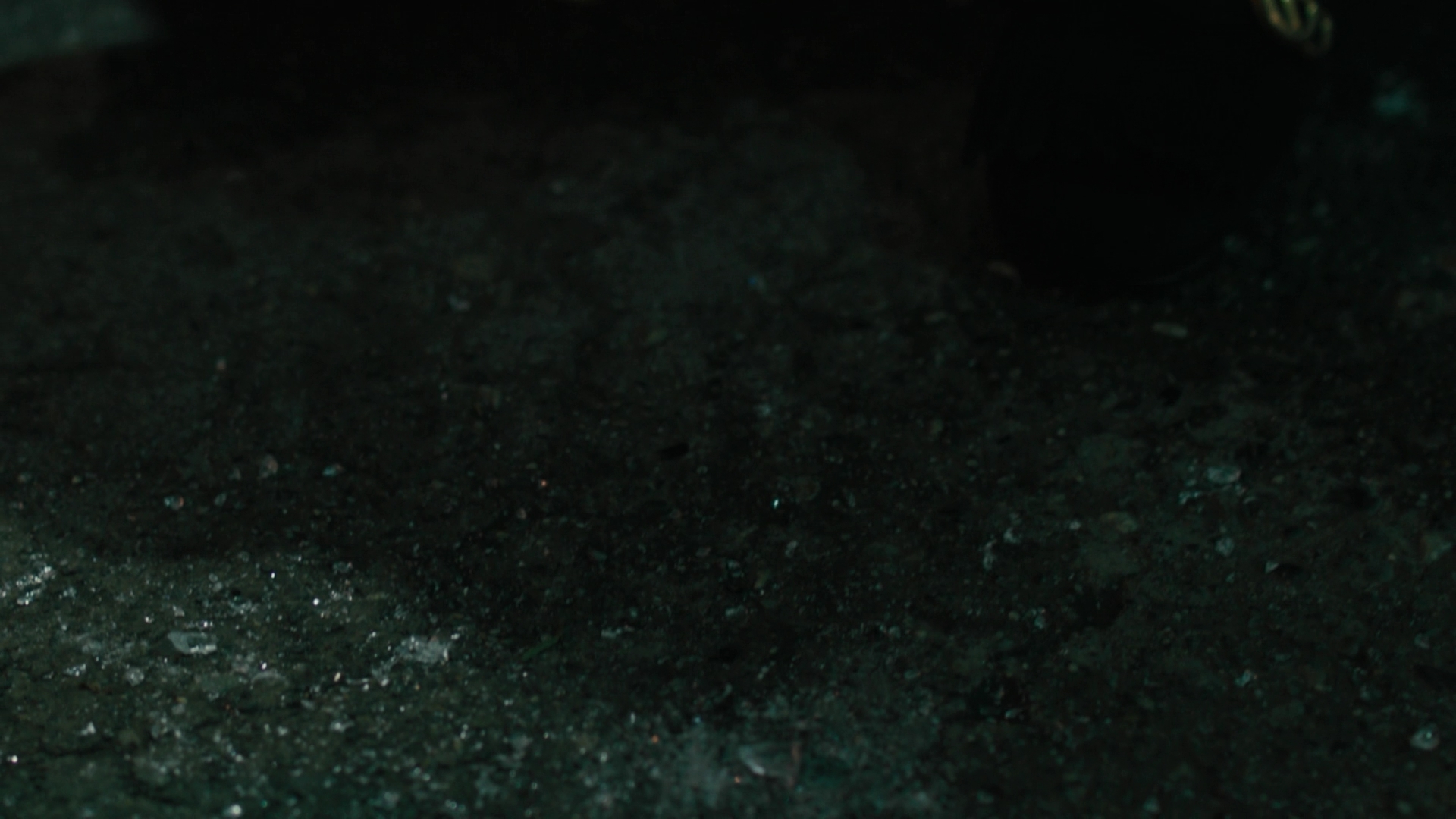 Charmed-Online-dot-nl_Charmed3x05YewDoYou0966.jpg Charmed-Online-dot-nl_Charmed3x05YewDoYou0966.jpg