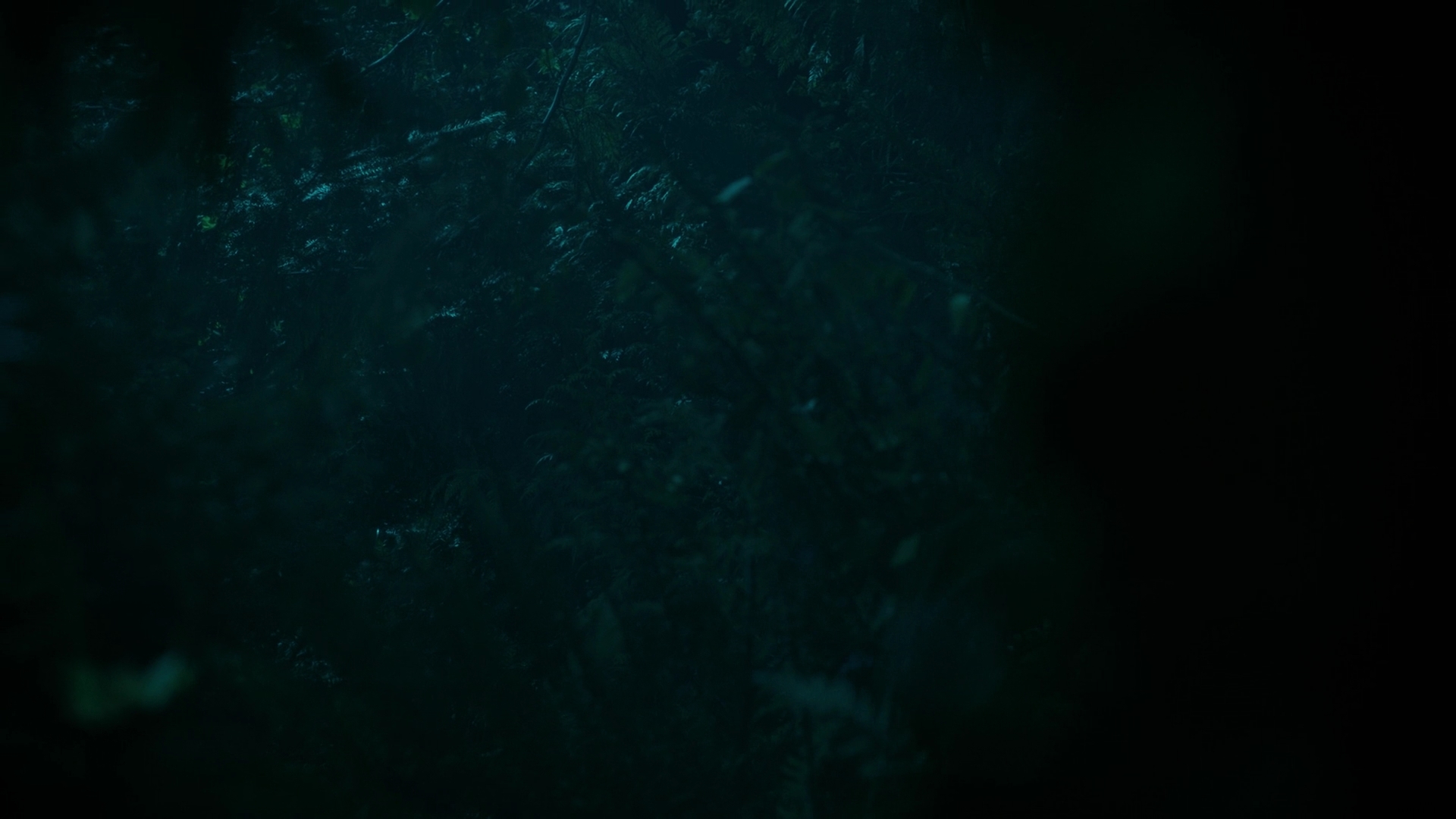 Charmed-Online-dot-nl_Charmed3x05YewDoYou1049.jpg Charmed-Online-dot-nl_Charmed3x05YewDoYou1049.jpg