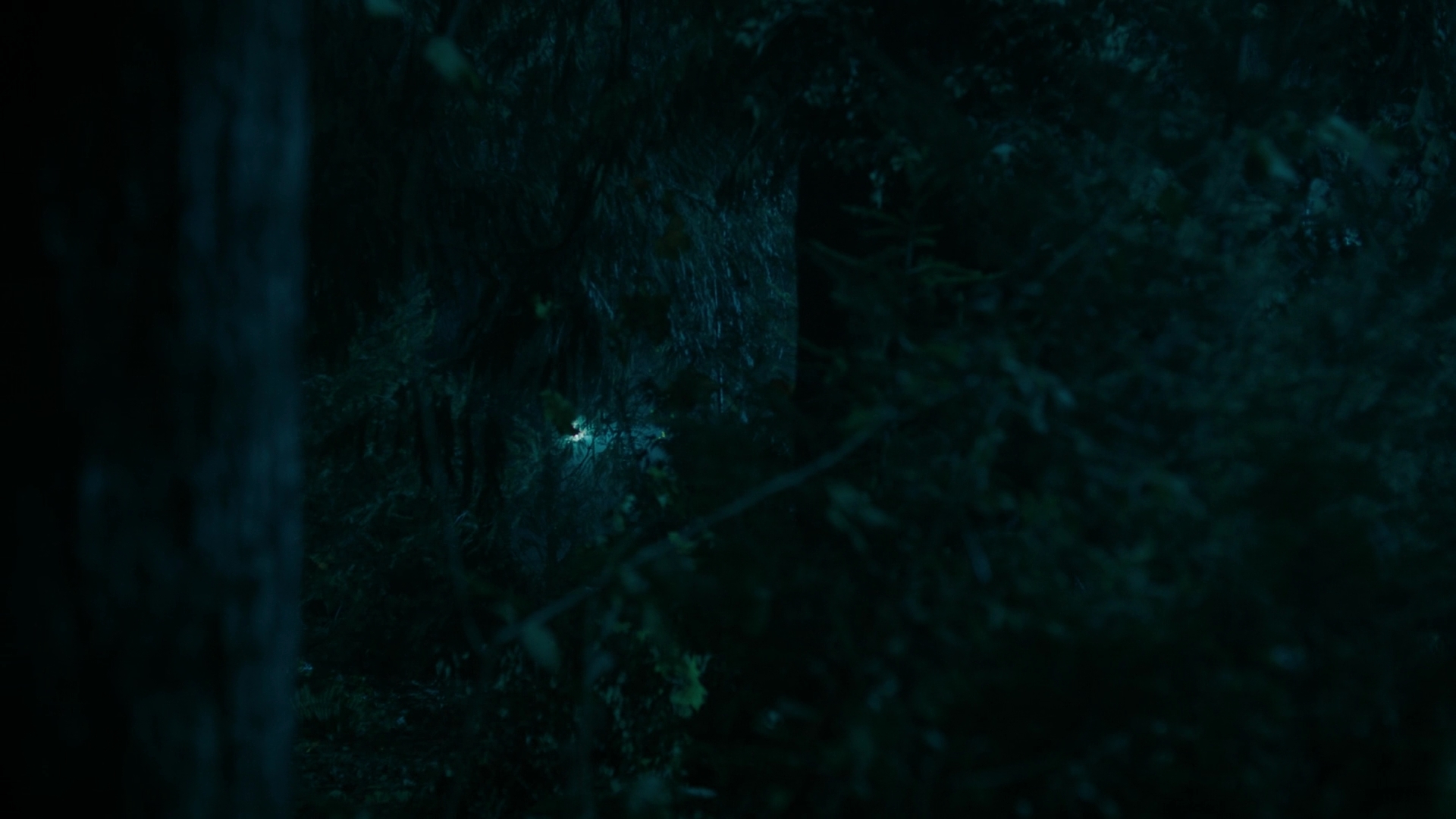 Charmed-Online-dot-nl_Charmed3x05YewDoYou1145.jpg Charmed-Online-dot-nl_Charmed3x05YewDoYou1145.jpg