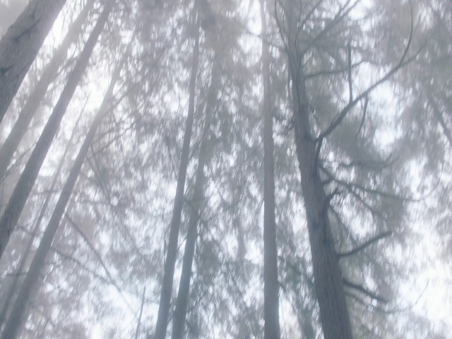 Charmed-Online-dot-nl_Charmed3x08OTheTangledWeb0765.jpg