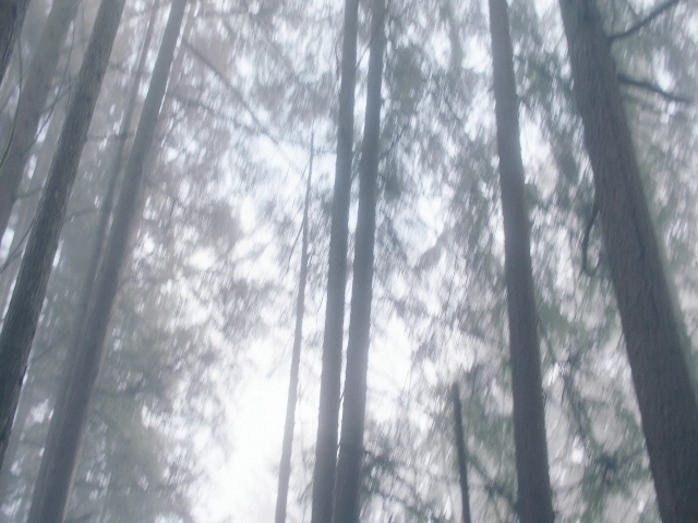 Charmed-Online-dot-nl_Charmed3x08OTheTangledWeb0766.jpg