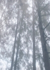 Charmed-Online-dot-nl_Charmed3x08OTheTangledWeb0765.jpg