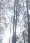Charmed-Online-dot-nl_Charmed3x08OTheTangledWeb0766.jpg