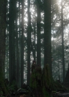 Charmed-Online-dot-nl_Charmed3x08OTheTangledWeb0792.jpg