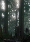 Charmed-Online-dot-nl_Charmed3x08OTheTangledWeb0794.jpg