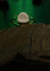 Charmed-Online-dot-nl_Charmed3x08OTheTangledWeb2450.jpg