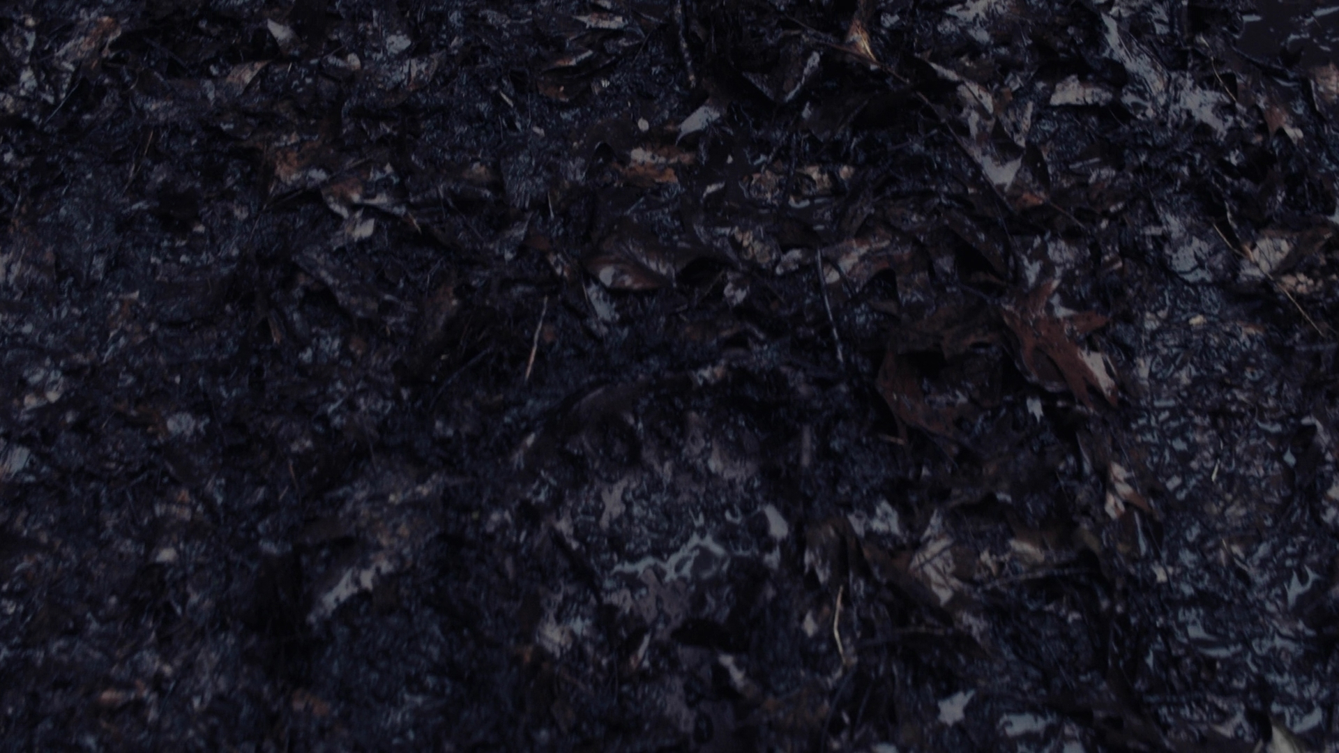 Charmed-Online-dot-nl_Charmed3x10BrujaHa0777.jpg Charmed-Online-dot-nl_Charmed3x10BrujaHa0777.jpg