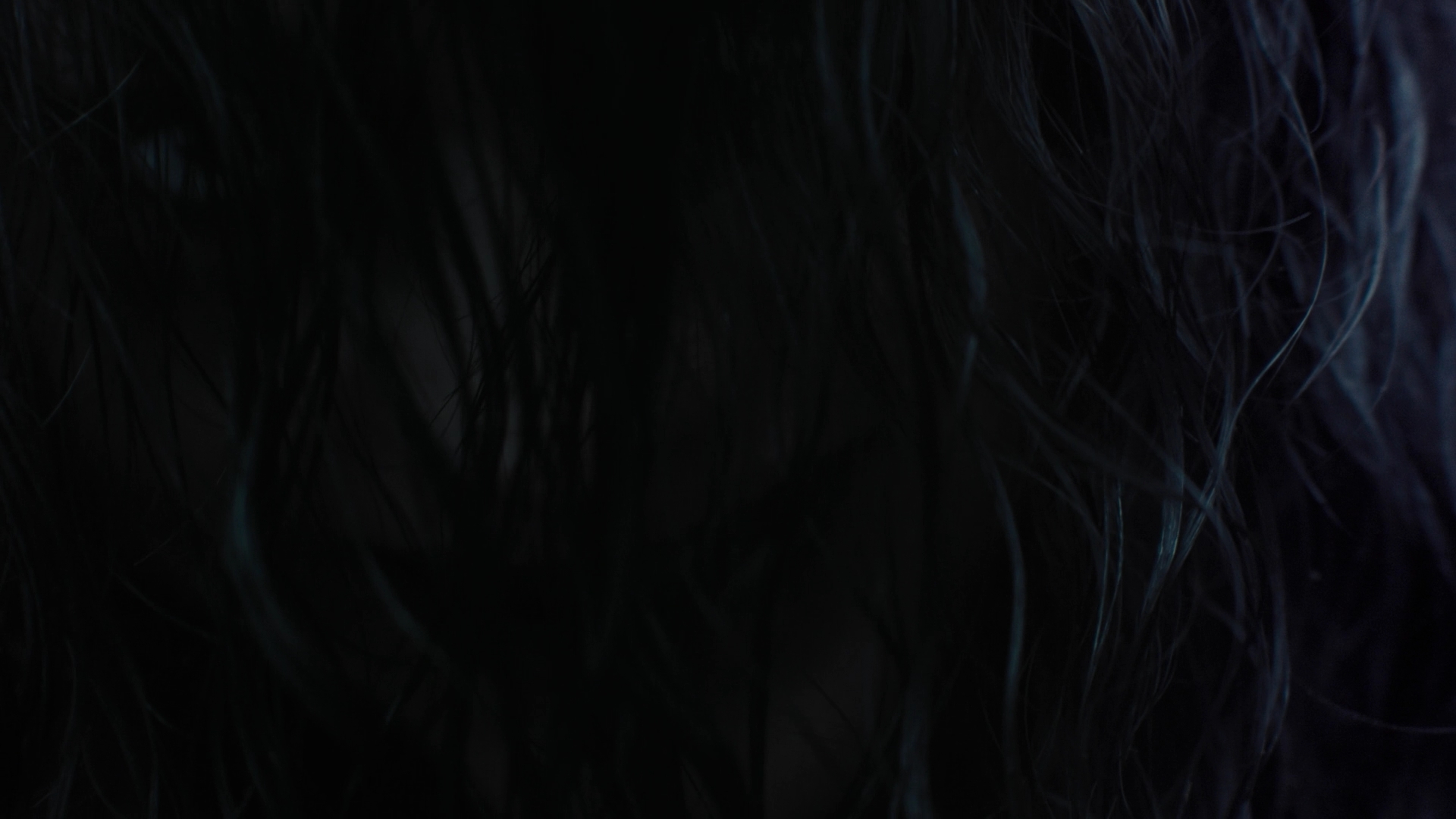 Charmed-Online-dot-nl_Charmed3x10BrujaHa0803.jpg Charmed-Online-dot-nl_Charmed3x10BrujaHa0803.jpg