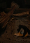 Charmed-Online-dot-nl_Charmed3x10BrujaHa0057.jpg