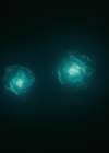 Charmed-Online-dot-nl_Charmed3x10BrujaHa0630.jpg