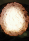 Charmed-Online-dot-nl_Charmed3x11WitchfulThinking0404.jpg