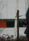 Charmed-Online-dot-nl_Charmed3x11WitchfulThinking0804.jpg