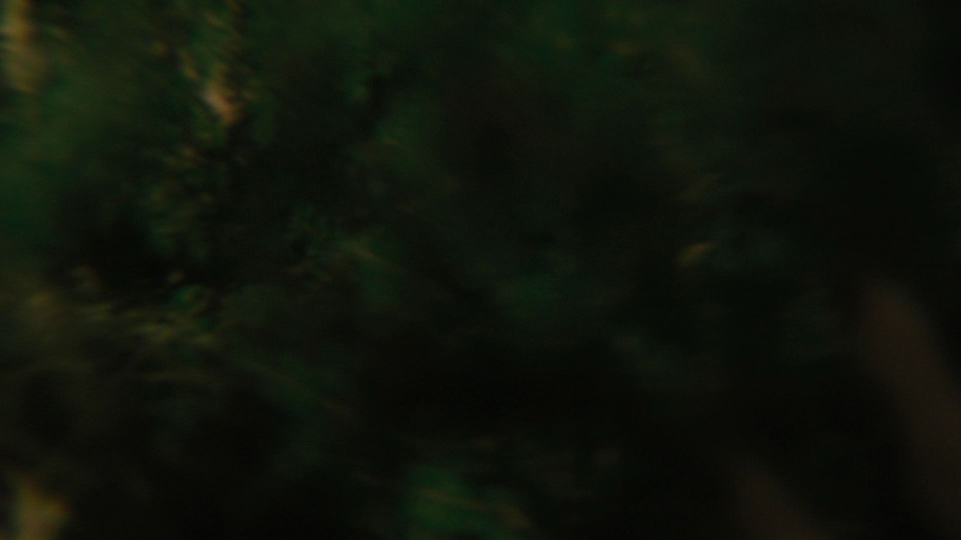 Charmed-Online-dot-nl_Charmed3x13ChaosTheory0669.jpg Charmed-Online-dot-nl_Charmed3x13ChaosTheory0669.jpg