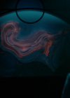 Charmed-Online-dot-nl_Charmed3x13ChaosTheory0998.jpg