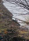 Charmed-Online-dot-nl_Charmed3x15SchrodingersFuture0059.jpg