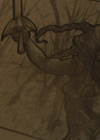 Charmed-Online-dot-nl_Charmed4x01NotThatGirl0237.jpg