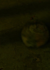 Bestandsnaam=Charmed-Online-dot-nl_Charmed4x01NotThatGirl0431.jpg
Bestandsgrootte=175KiB
Afmetingen = 720x400
Datum toegevoegd = mrt 12, 2022 Charmed-Online-dot-nl_Charmed4x01NotThatGirl0431.jpg
