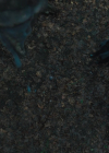 charmed-online-dot-nl_Charmed4x03UnluckyCharmed1393.jpg